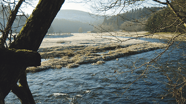 Entlang der Eder gibt es viel zu entdecken auf dem Wittgensteiner Schieferpfad. Auf dem Wittgensteiner Schieferpfad