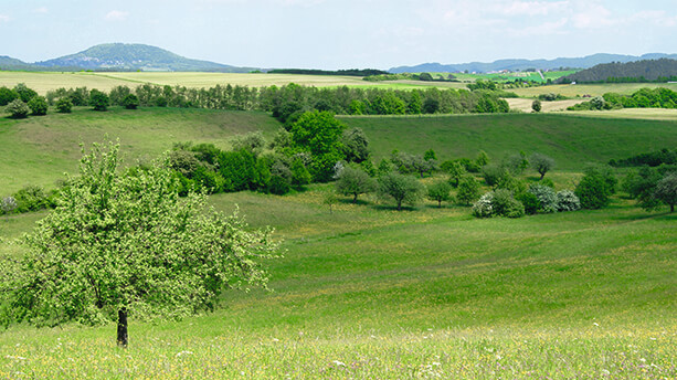 Eifel-Wanderung in die Römerzeit Eine Eifel-Wanderung in die Römerzeit