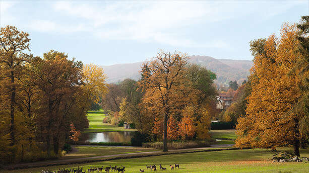 Der Wanderweg führt unter anderem durch den Gräflichen Park, dem Privatpark des Gründers von Bad Driburg Caspar Heinrich von Sierstorpff. Rund um Bad Driburg