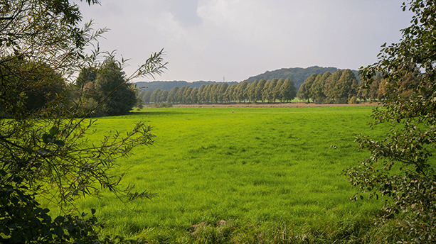 Auf dem Neanderlandsteig Auf dem Neanderlandsteig