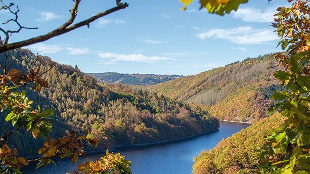Ein wunderbarer Blick über den Nationalpark Eifel. Auf dem Wildnis-Trail im Nationalpark Eifel
