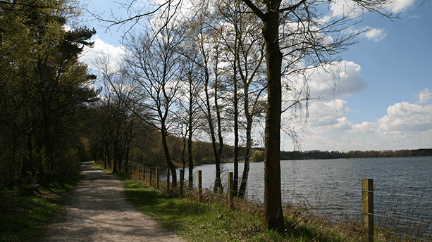 Quer durch die Hohe Mark Quer durch die Hohe Mark
