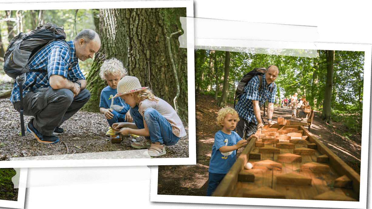 Zu sehen sind Bilder ist eine vierteilige Collage, welche Bilder eines Ausflugs einer Familie zum Köllbachtal zeigt. 