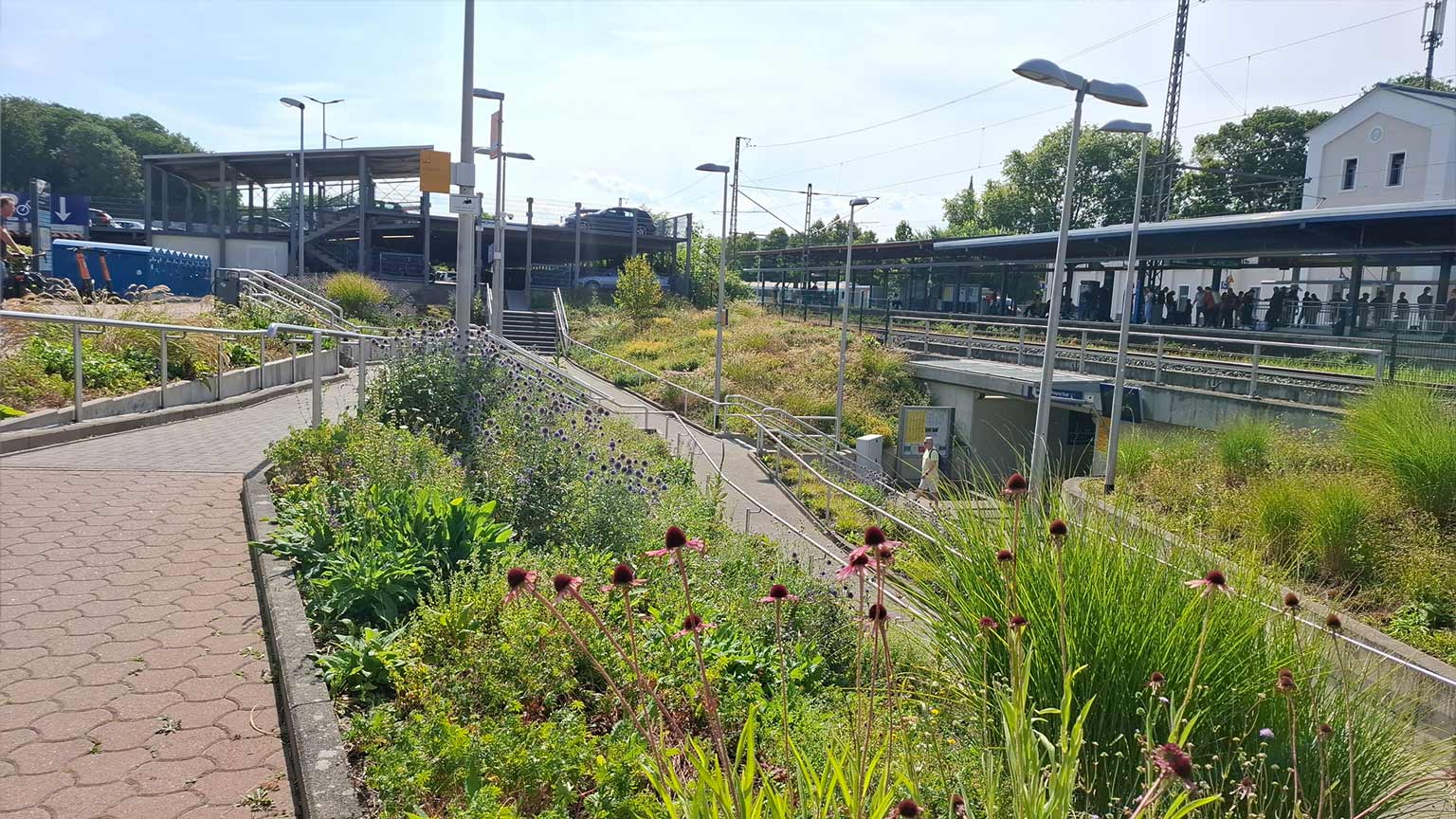 Grüne Bahnsteigbepflanzung und barrierefreie Wege an der Mobilstation Soest, Rampen zur Unterführung und Wartebereiche an den Gleisen