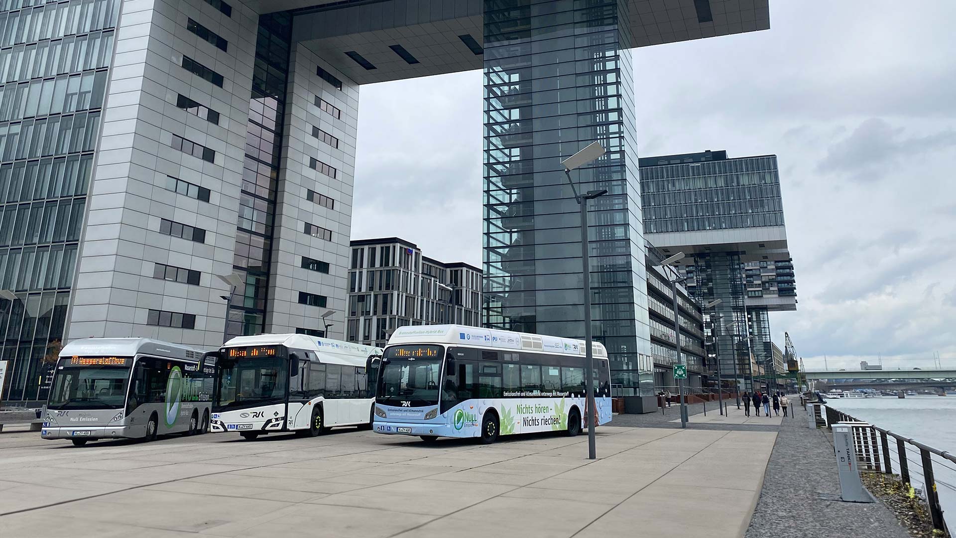 Drei Wasserstoffbusse stehen vor den Kranhäusern in Köln.