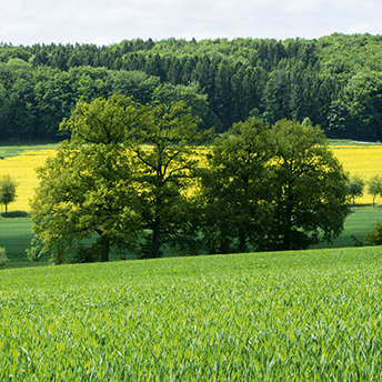 Auf der Holperdorper Teutoschleife