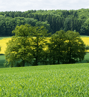 Auf der Holperdorper Teutoschleife