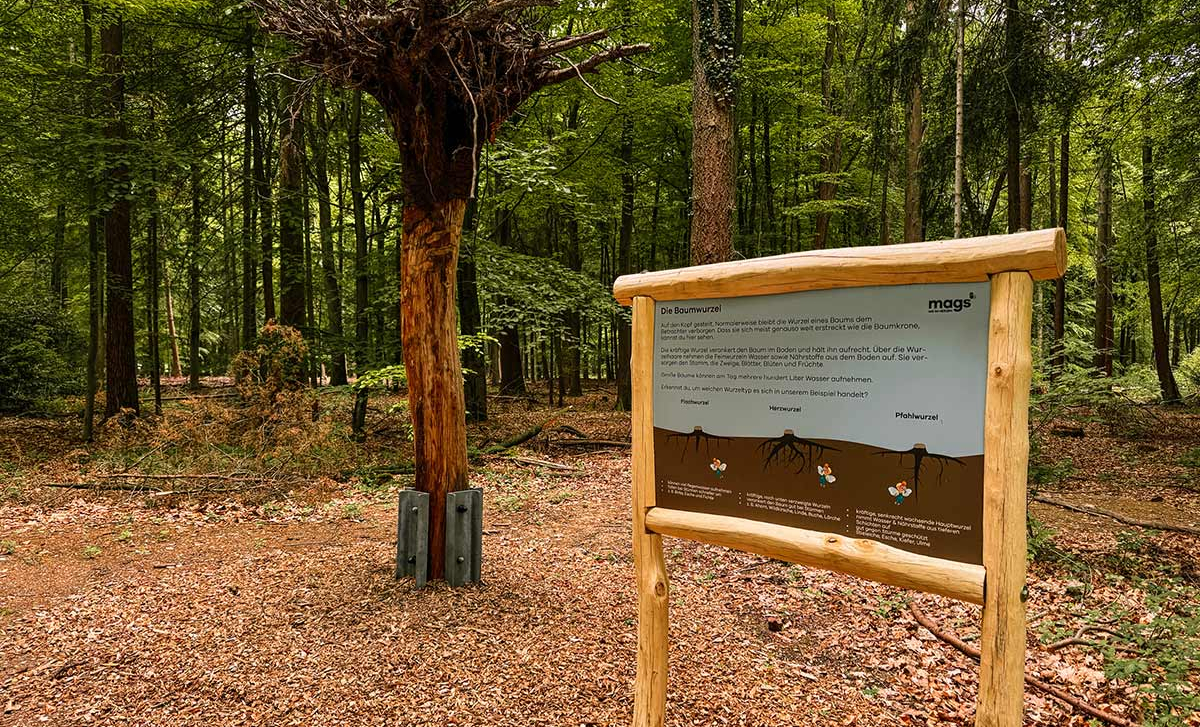 Langeweile? Fehlanzeige!