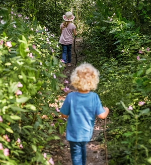 Kugelt euch durchs Köllbachtal
