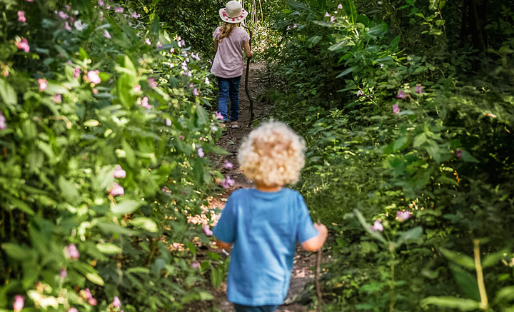 Kugelt euch durchs Köllbachtal