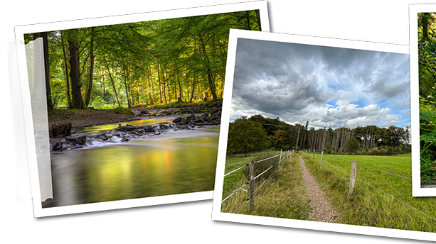 Idylle im Pfengstbachtal und im Altenberger Dom.