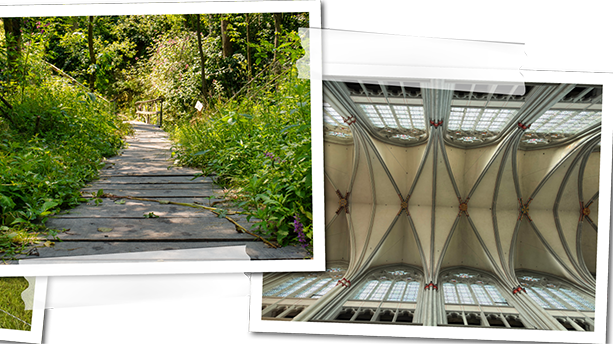 Idylle im Pfengstbachtal und im Altenberger Dom.