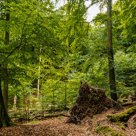 Auf der Klosterrunde von Heimbach