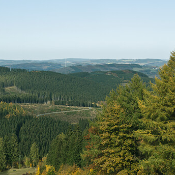 Rund um Lennestadt-Altenhundem