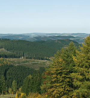 Rund um Lennestadt-Altenhundem