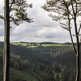Unterwegs auf dem Ilsetalpfad