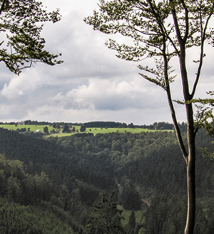 Unterwegs auf dem Ilsetalpfad