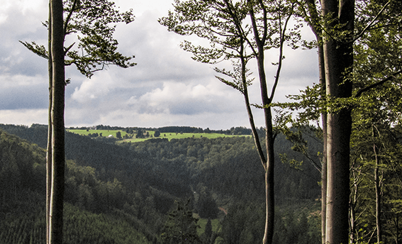 Unterwegs auf dem Ilsetalpfad