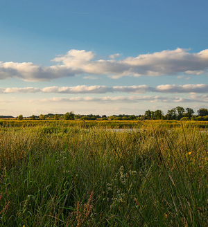 Nur Fliegen ist schöner