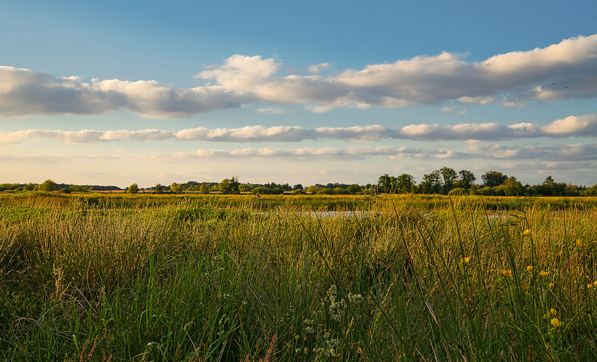 Nur Fliegen ist schöner