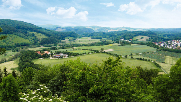 Gründe Waldrunde in Marsberg Auf der grünen Waldroute nach Marsberg
