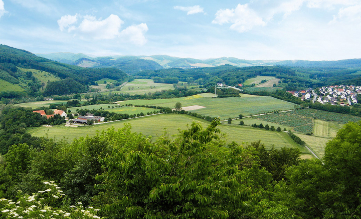 Auf der grünen Waldroute nach Marsberg