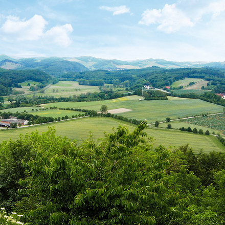 Auf der grünen Waldroute nach Marsberg