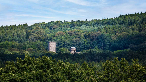 Eifel to go