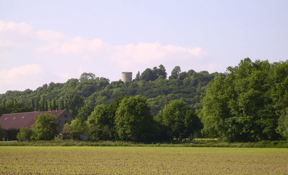 Auf dem Grat des Teutoburger Walds