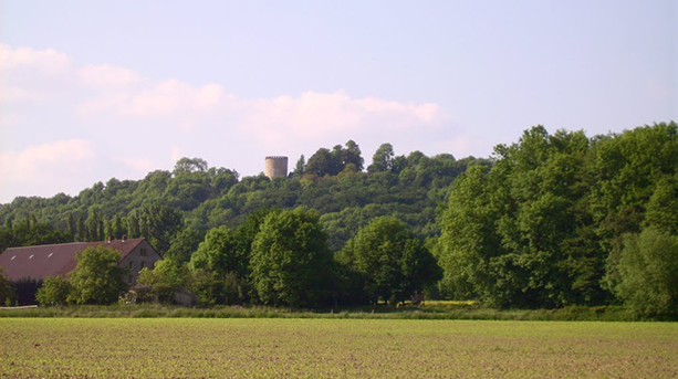 Ansicht des Teutoburger Walds mit dem Turm der Ravensberg im Hintergrund. Auf dem Grat des Teutoburger Walds