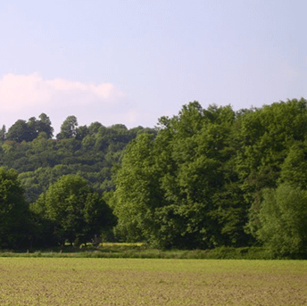 Auf dem Grat des Teutoburger Walds