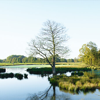 Nett, netter, Maas-Schwalm-Nette