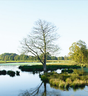 Nett, netter, Maas-Schwalm-Nette