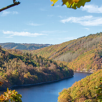 Auf dem Wildnis-Trail im Nationalpark Eifel