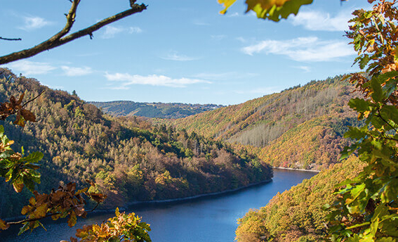 Auf dem Wildnis-Trail im Nationalpark Eifel