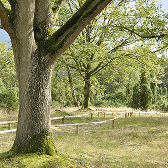 Unterwegs auf dem Hollandgängerweg