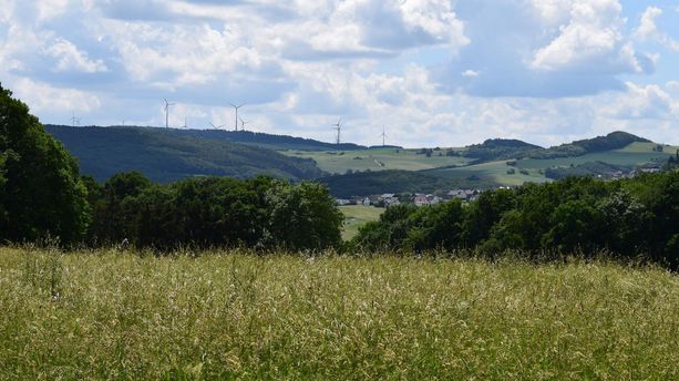 Leichlinger Sandberge Leichlinger Sandberge