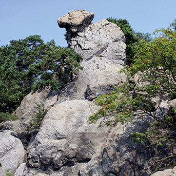 Auf der Teutoschleife Dörenther Klippen