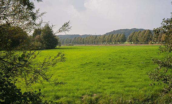 Auf dem Neanderlandsteig