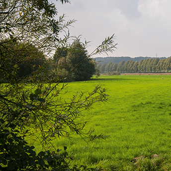Auf dem Neanderlandsteig