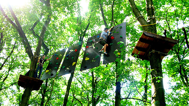 Ansicht aus dem Kletterpark tree2tree in Dortmund. tree2tree, Dortmund