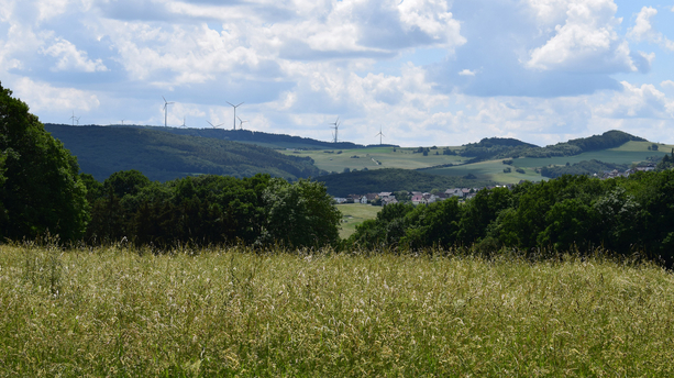 Leichlinger Sandberge