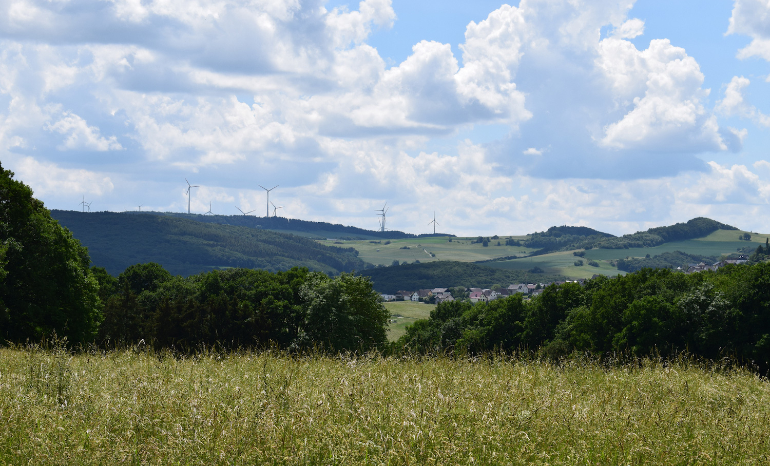 Leichlinger Sandberge