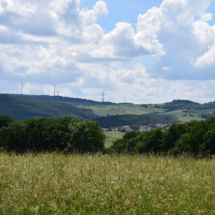 Leichlinger Sandberge