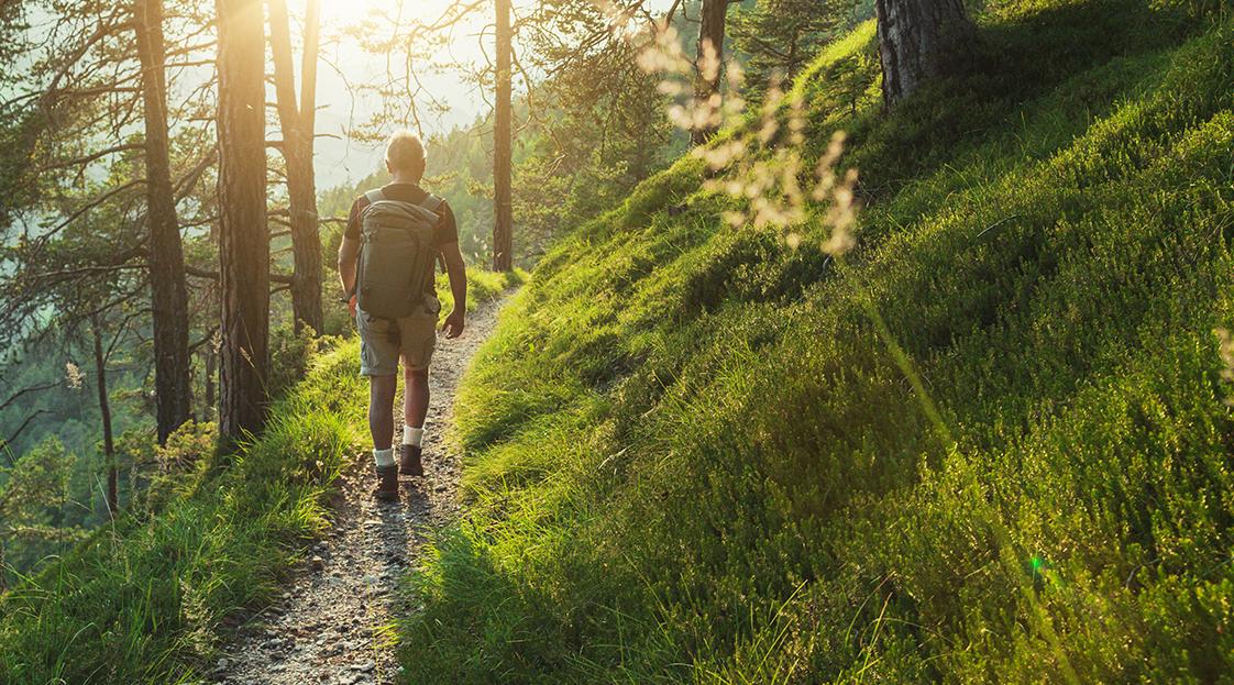 Header Wandern Rückenansicht eines Mannes beim Wandern in einem Wald.