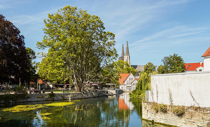 Fachwerk. Wasser. Idylle.