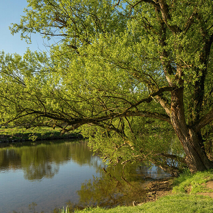 Der Overather Pilgerweg