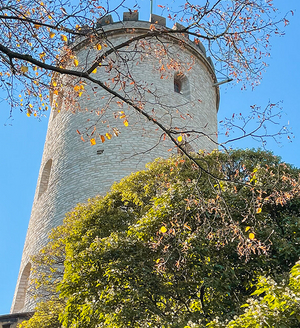 Höhenflug auf dem Höhenweg