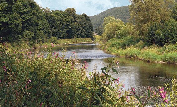 Auf dem Natursteig Sieg