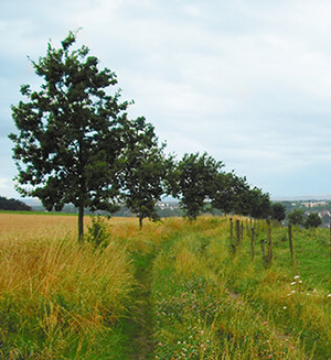 Auf der Kupferroute